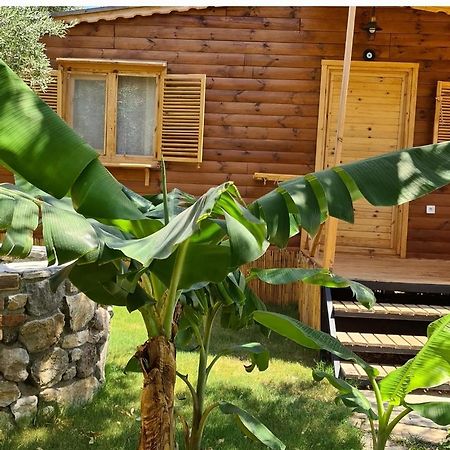 Derin Tas-Bungalow Datça Buitenkant foto