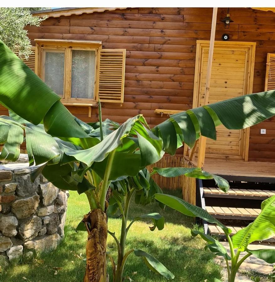 Derin Tas-Bungalow Datça Buitenkant foto